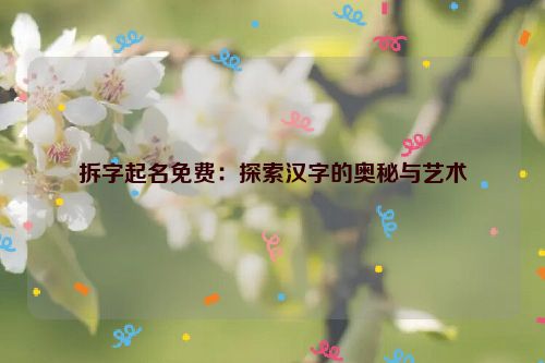 拆字起名免费：探索汉字的奥秘与艺术