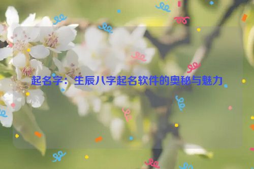 起名字：生辰八字起名软件的奥秘与魅力