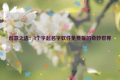 创意之选：4个字起名字软件免费版的奇妙世界