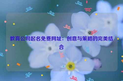 教育公司起名免费网址：创意与策略的完美结合