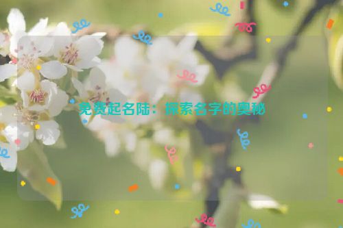 免费起名陆：探索名字的奥秘