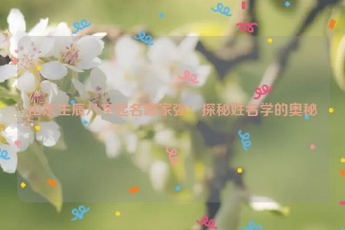 山东生辰八字起名哪家强：探秘姓名学的奥秘