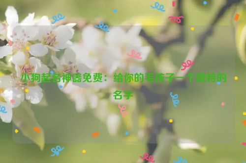 小狗起名神器免费：给你的毛孩子一个独特的名字