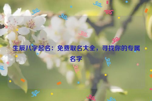 生辰八字起名：免费取名大全，寻找你的专属名字