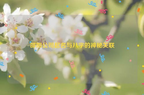 邵阳公司起名与八字的神秘关联