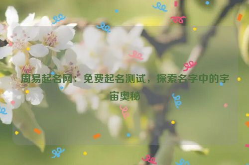 周易起名网：免费起名测试，探索名字中的宇宙奥秘