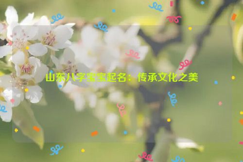 山东八字宝宝起名：传承文化之美