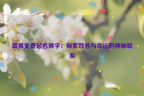 周易免费起名测字：探索姓名与命运的神秘联系