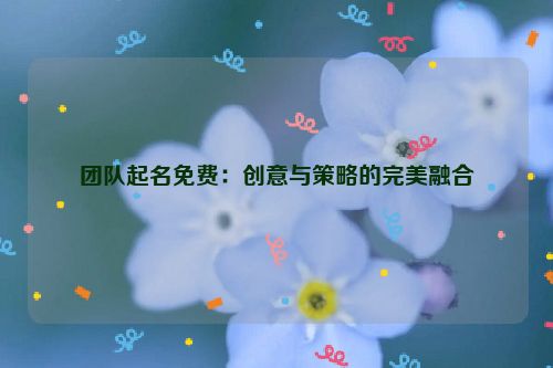 团队起名免费：创意与策略的完美融合