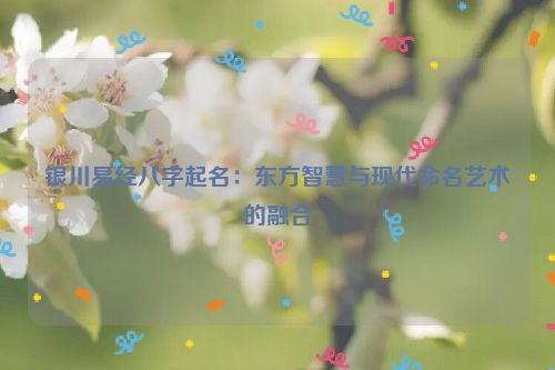 银川易经八字起名：东方智慧与现代命名艺术的融合