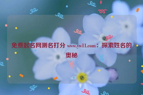 免费起名网测名打分 www.yw11.com：探索姓名的奥秘