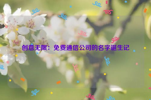 创意无限：免费通信公司的名字诞生记