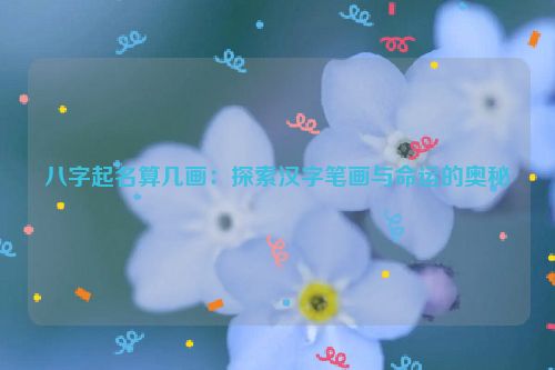 八字起名算几画：探索汉字笔画与命运的奥秘