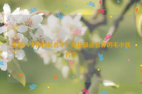 生辰八字狗狗起名字：寻找最适合你的毛小孩名字