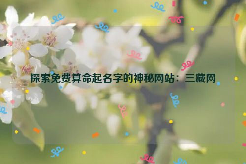 探索免费算命起名字的神秘网站：三藏网