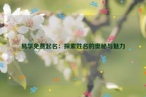 易学免费起名：探索姓名的奥秘与魅力