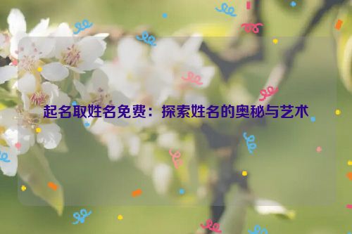 起名取姓名免费：探索姓名的奥秘与艺术