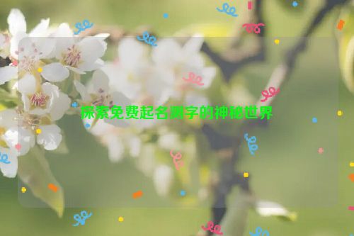 探索免费起名测字的神秘世界