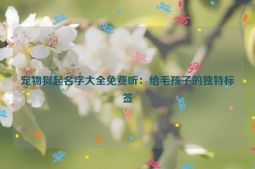 宠物狗起名字大全免费听：给毛孩子的独特标签