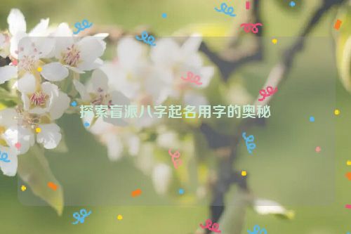 探索盲派八字起名用字的奥秘