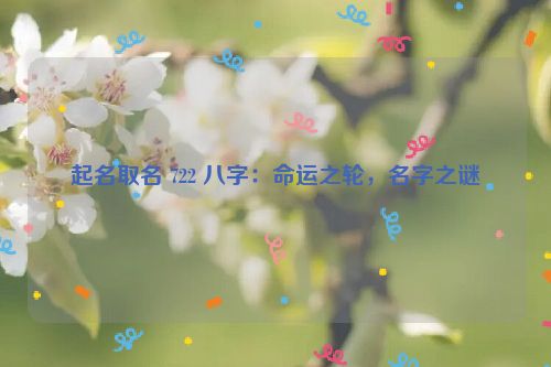 起名取名 722 八字：命运之轮，名字之谜