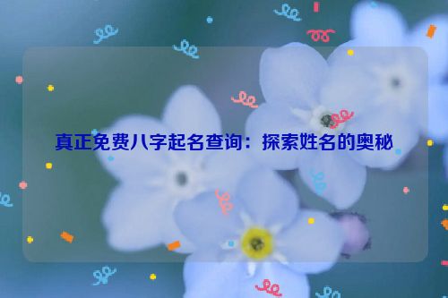 真正免费八字起名查询：探索姓名的奥秘