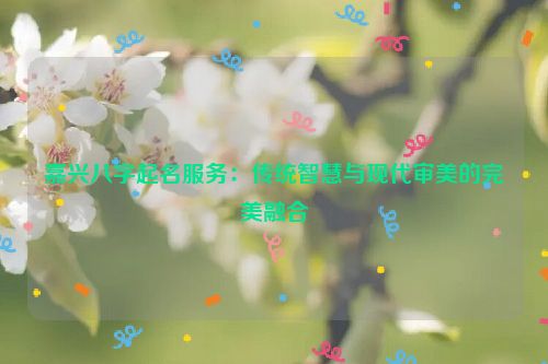 嘉兴八字起名服务：传统智慧与现代审美的完美融合