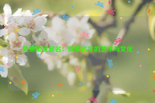 免费宝宝起名：探索名字的艺术与文化